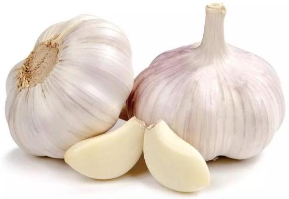 大蒜 - Garlic