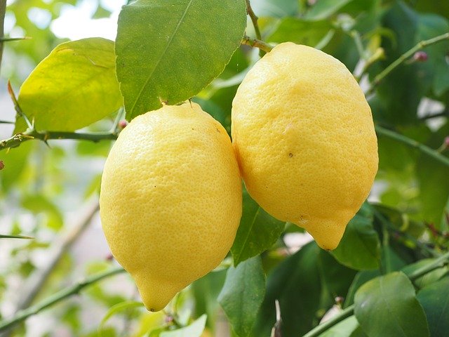 柠檬 - Lemon