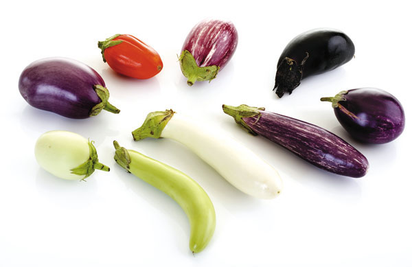 茄子 - Eggplant